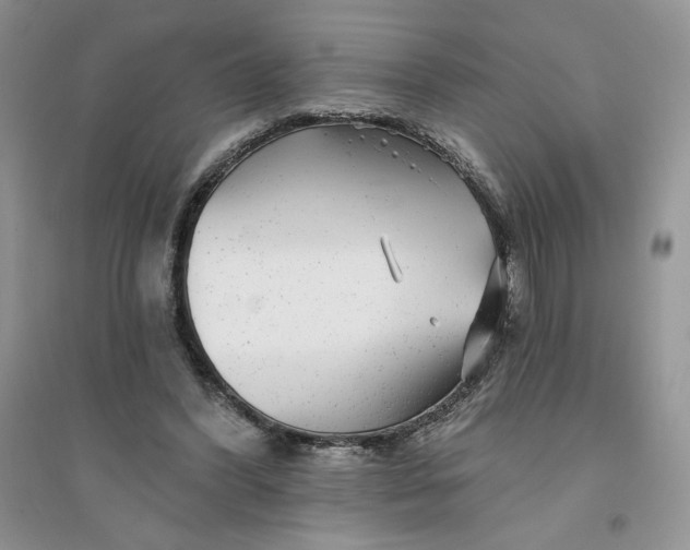 X0000096170396200802081416