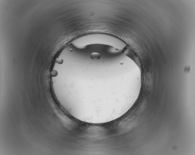 X0000096170397200802081416