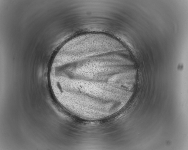 X0000096170398200802081416