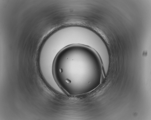 X0000096170399200802081416