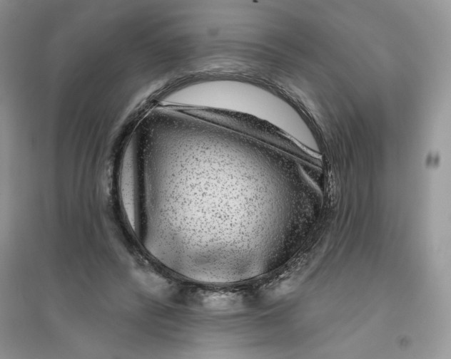 X0000096170400200802081416