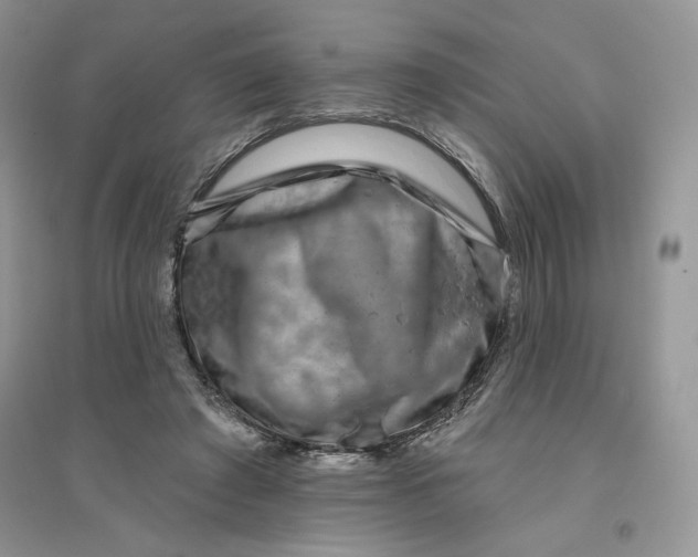 X0000096170401200802081416