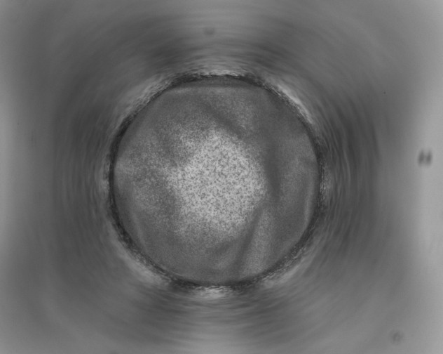 X0000096170402200802081416