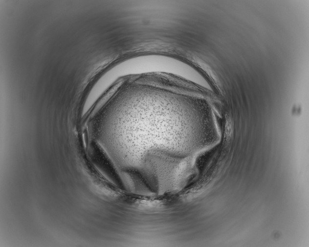 X0000096170403200802081416