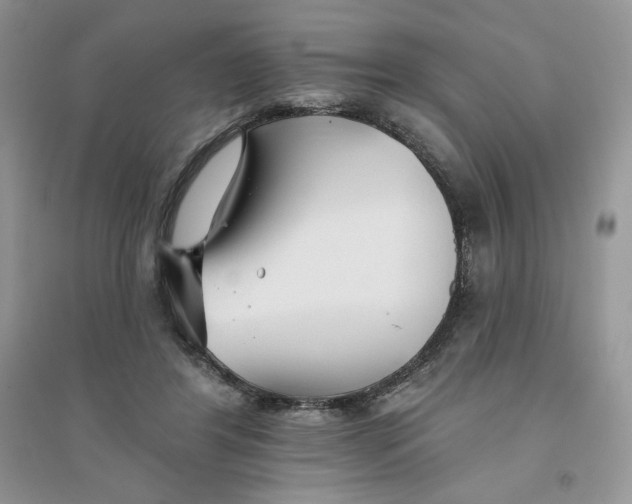 X0000096170404200802081416