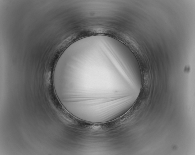 X0000096170406200802081416