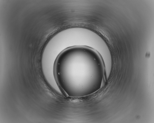 X0000096170407200802081416