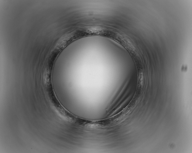 X0000096170408200802081416