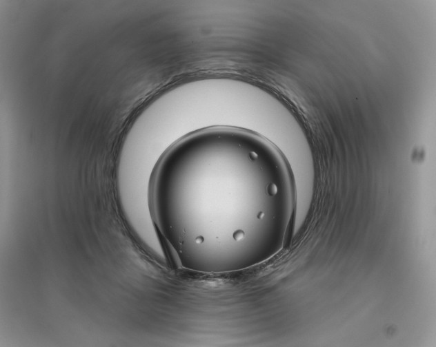 X0000096170411200802081416