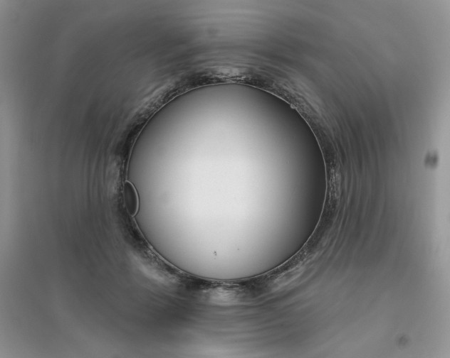 X0000096170412200802081416