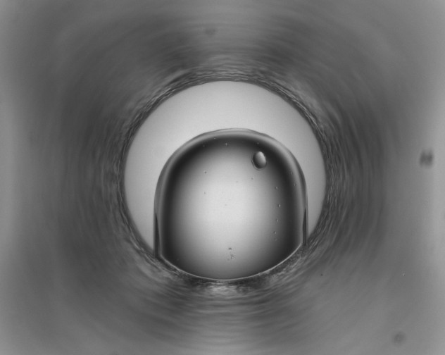 X0000096170413200802081416