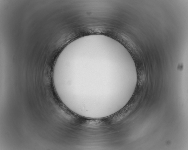 X0000096170414200802081416