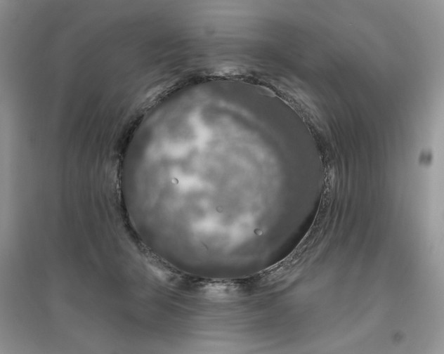 X0000096170415200802081416