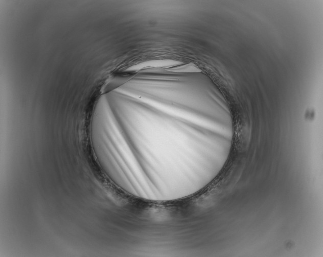 X0000096170416200802081416