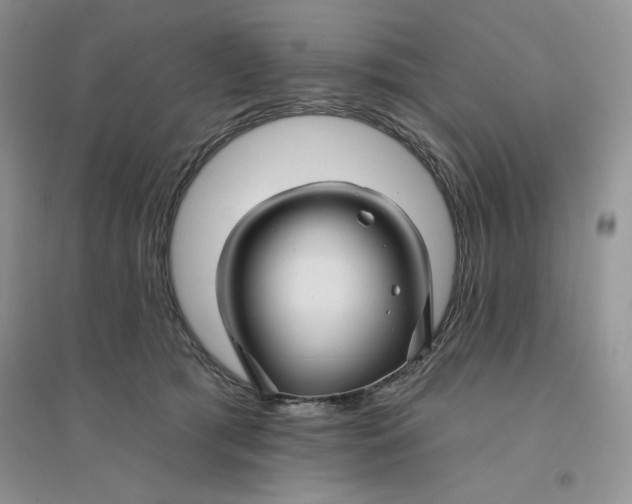 X0000096170417200802081416