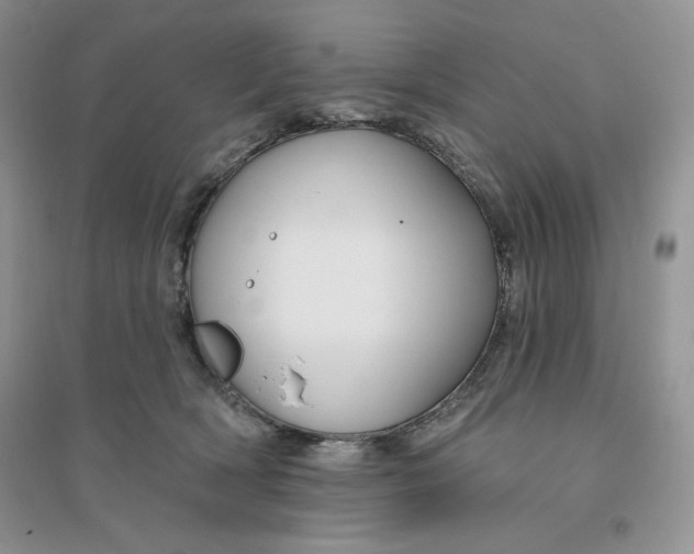 X0000096170418200802081416