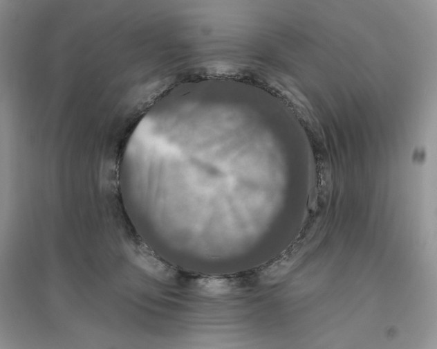 X0000096170419200802081416