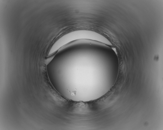 X0000096170421200802081416