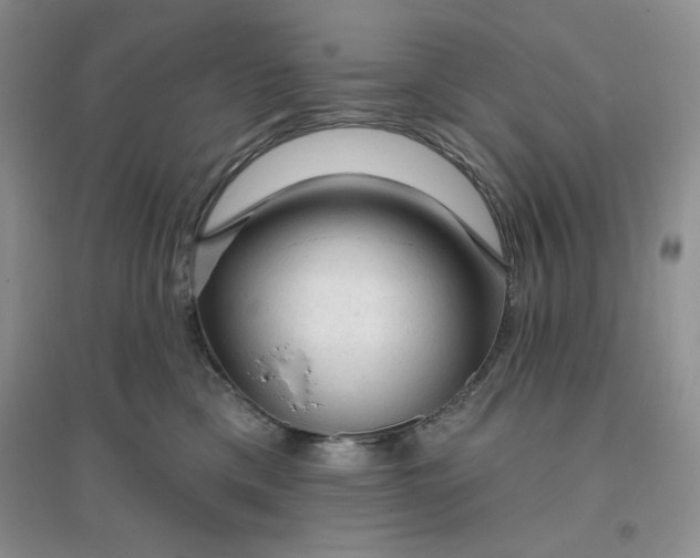 X0000096170425200802081416