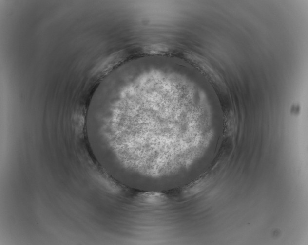 X0000096170427200802081416