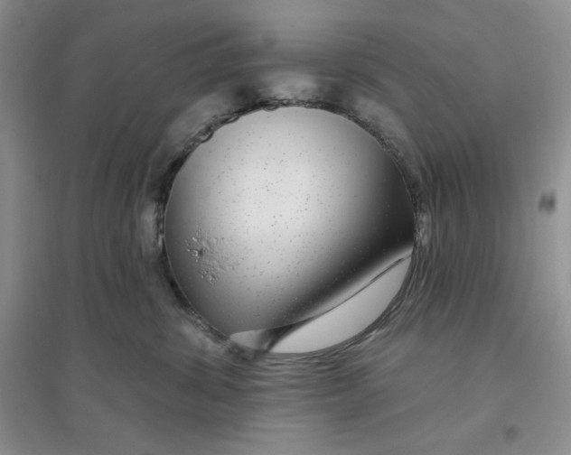 X0000096170428200802081416