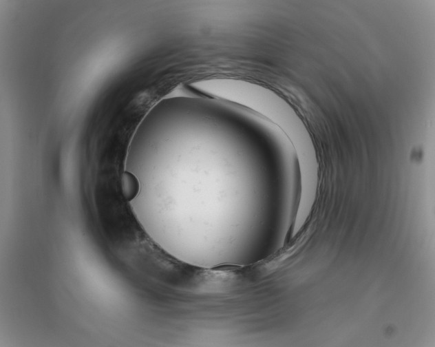 X0000096170429200802081416