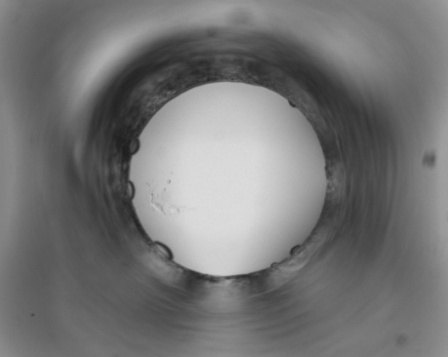 X0000096170430200802081416