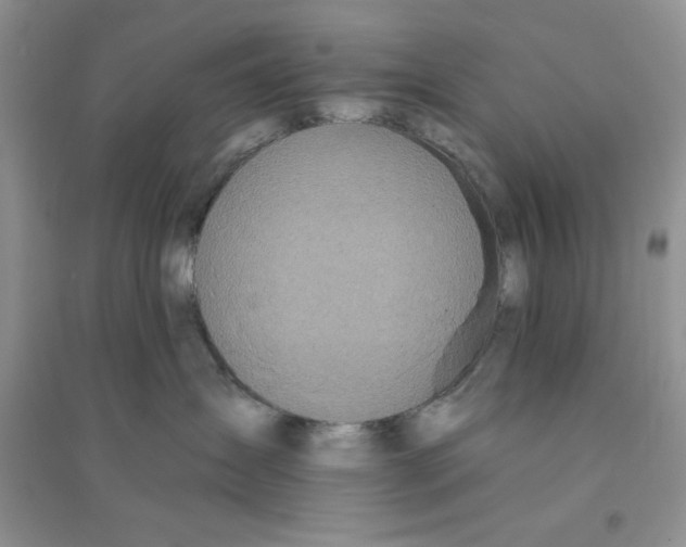 X0000096170431200802081415