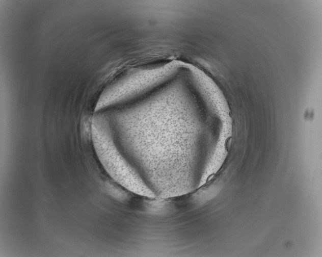 X0000096170432200802081415