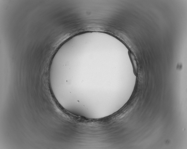 X0000096170433200802081415