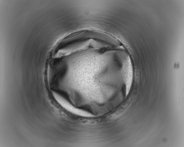 X0000096170434200802081415