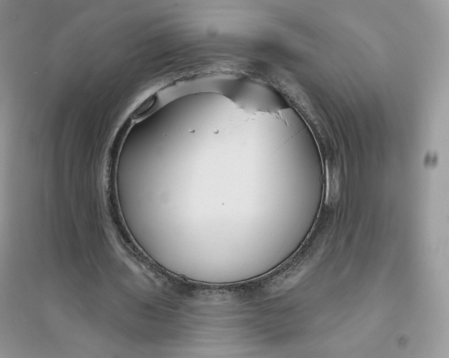 X0000096170435200802081415