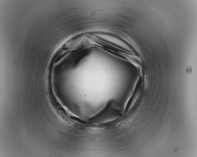 X0000096170436200802081415