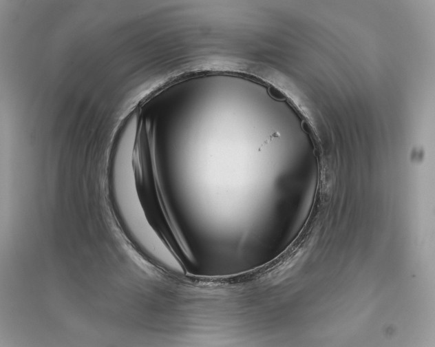 X0000096170437200802081415