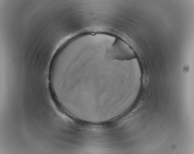 X0000096170438200802081415