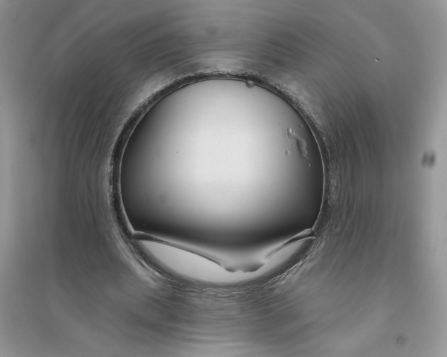 X0000096170439200802081415