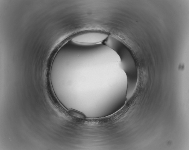 X0000096170440200802081415