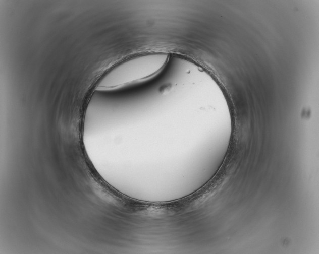 X0000096170441200802081415