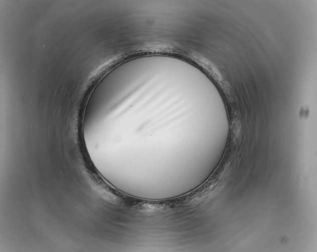 X0000096170442200802081415