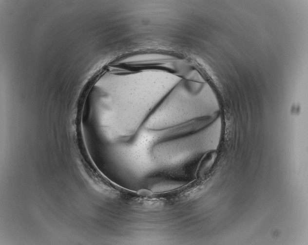 X0000096170443200802081415