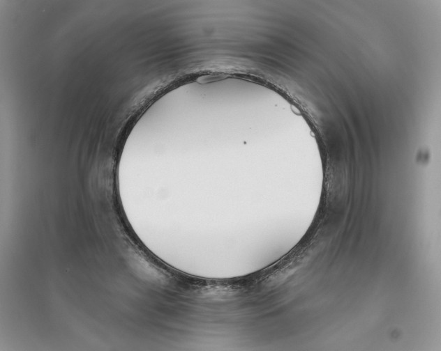 X0000096170445200802081415