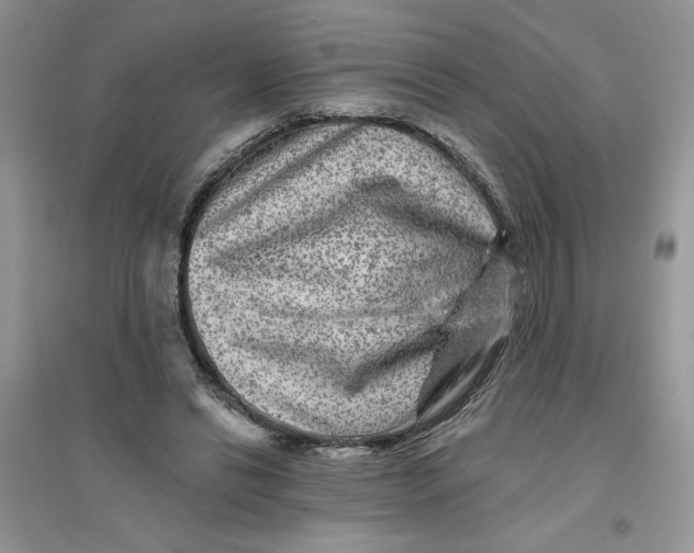 X0000096170446200802081415