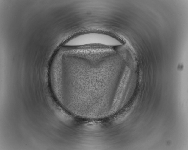 X0000096170447200802081415