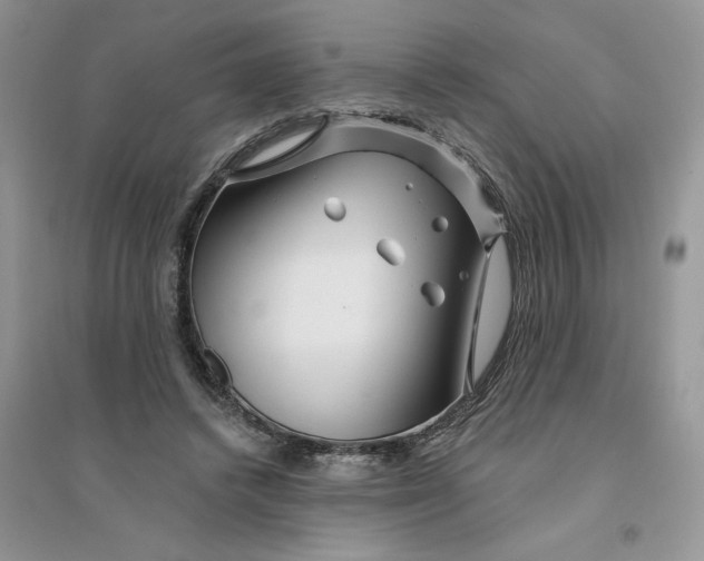 X0000096170448200802081415