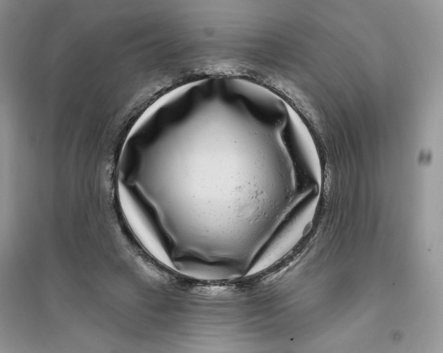 X0000096170449200802081415