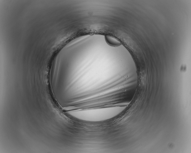 X0000096170450200802081415