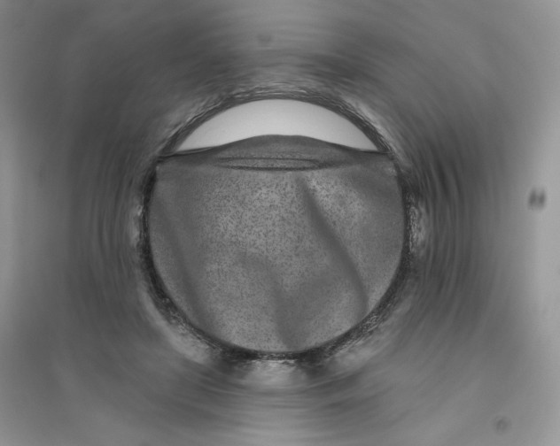 X0000096170451200802081415