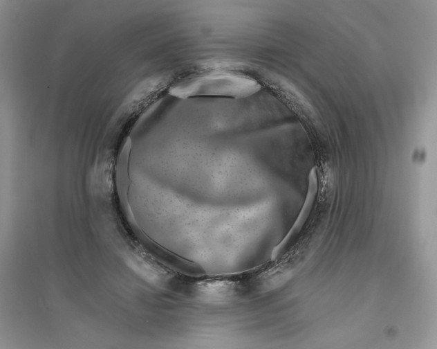 X0000096170452200802081415