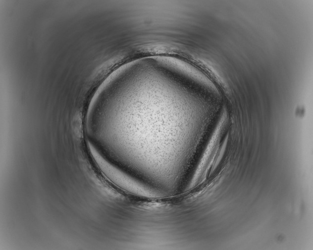 X0000096170453200802081415