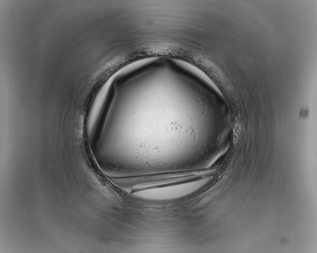 X0000096170454200802081415